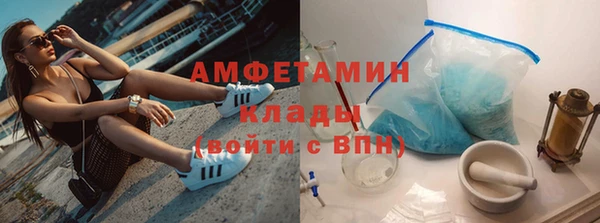 прущие грибы Абаза
