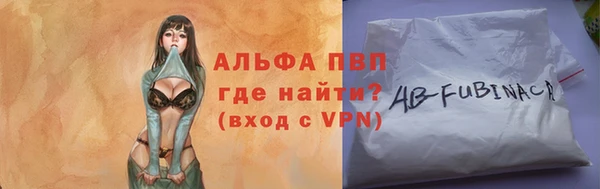прущие грибы Абаза