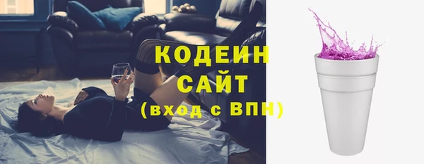 прущие грибы Абаза