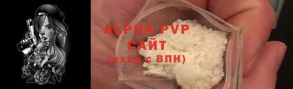 прущие грибы Абаза