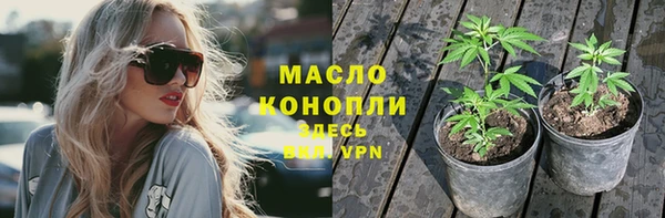прущие грибы Абаза
